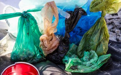 Le Kirghizstan fait la guerre aux sacs en plastique