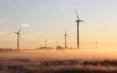 Le Vent de Changement : L’Ouzbékistan approuve la construction d’une ferme éolienne de 1 500 MW