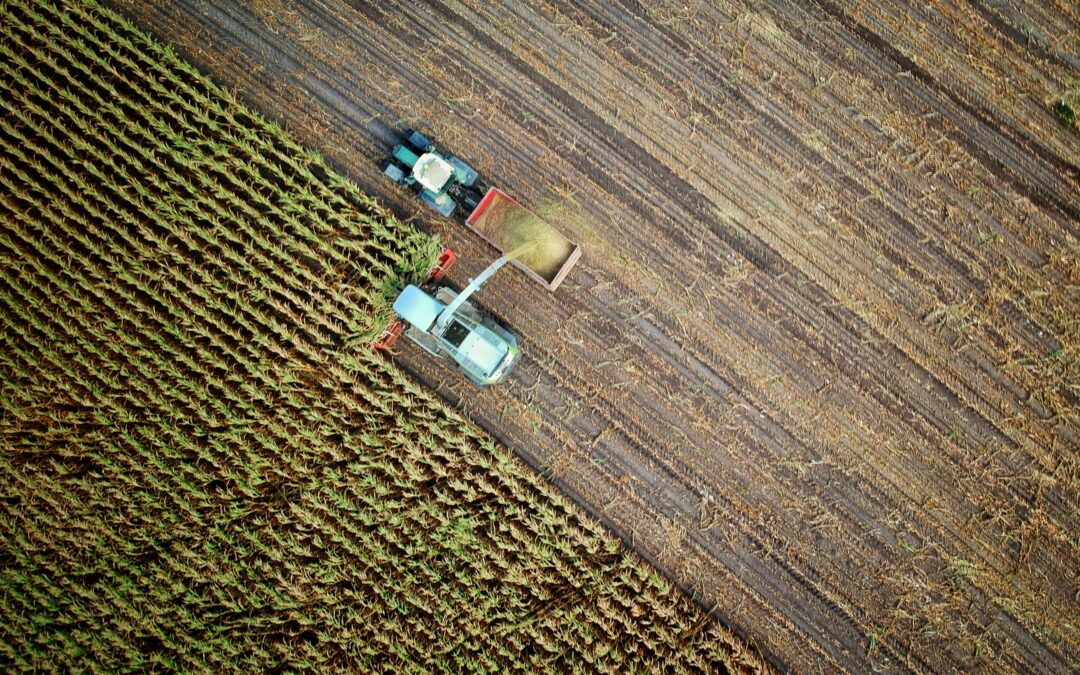 Kazakhstan: Vers une révolution agricole durable