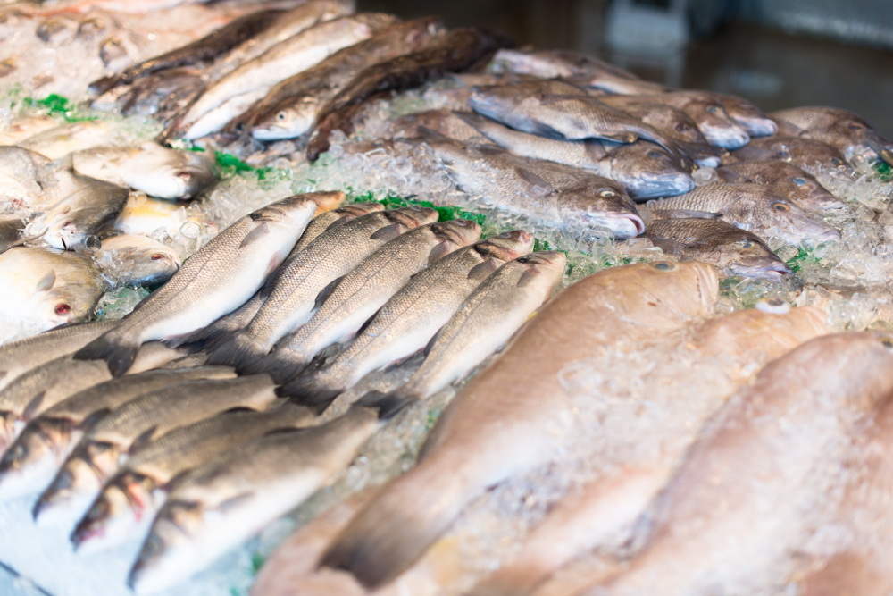 Les produits de la mer, un secteur en plein essor au Kazakhstan