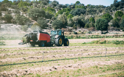 La FAO demande à nouveau au Kazakhstan de détruire les pesticides dangereux