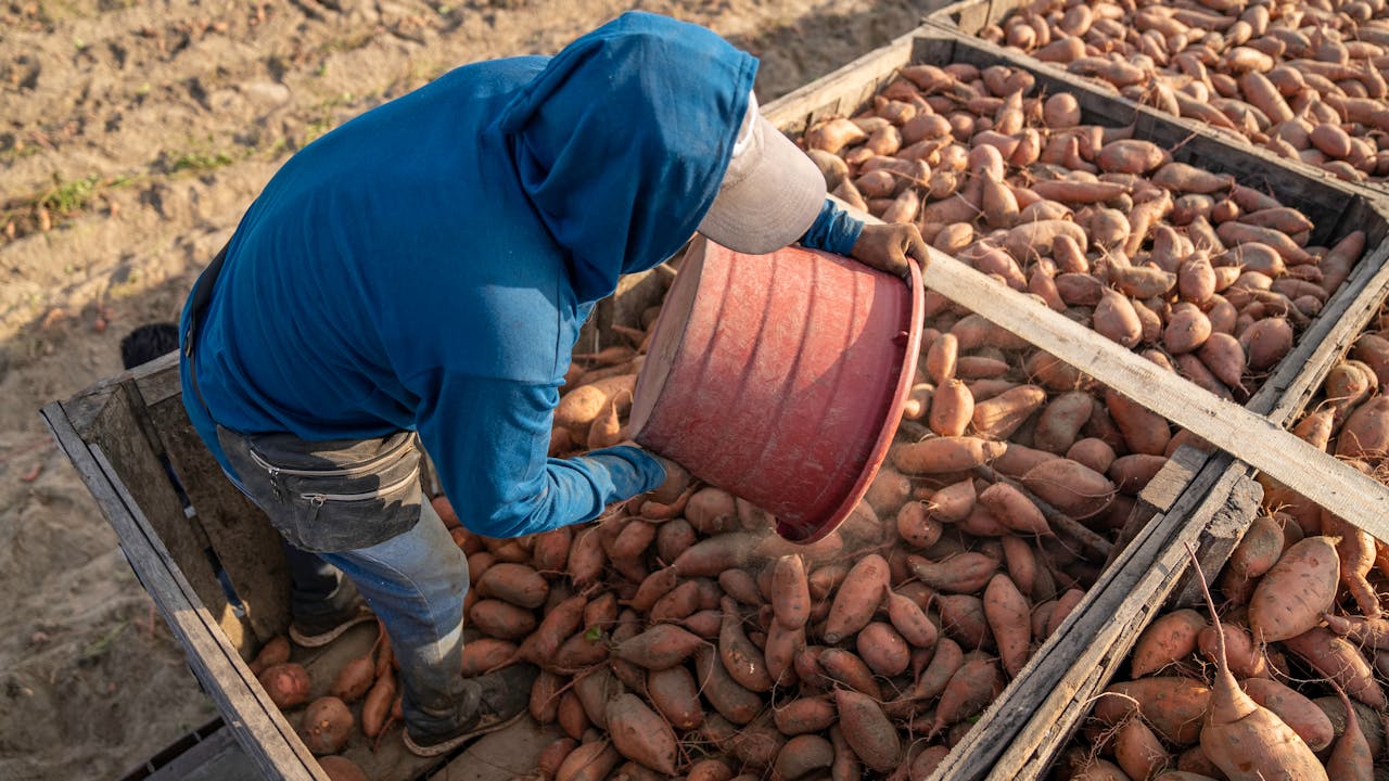 marché