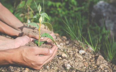 Le Kazakhstan lance une plateforme mondiale pour le climat