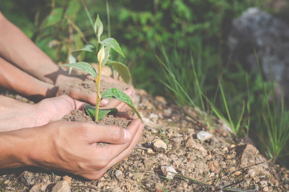 Le Kazakhstan lance une plateforme mondiale pour le climat