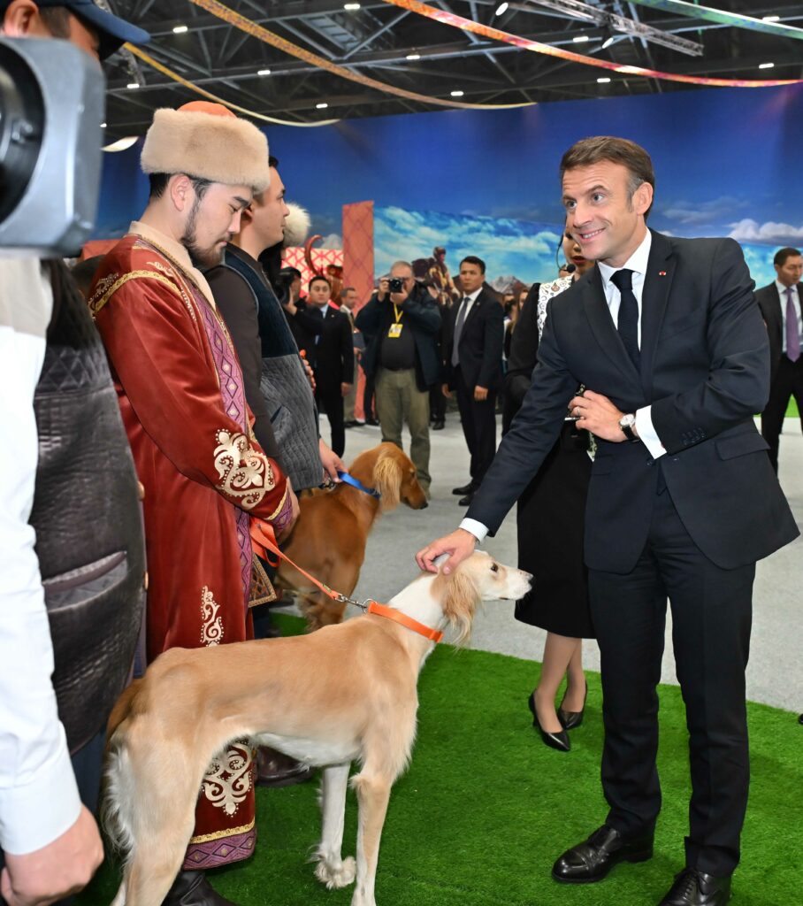Emmanuel Macron tazy