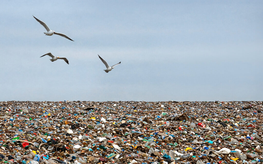Déchets ménagers : le Kazakhstan construira 43 nouvelles décharges