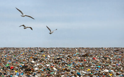 Déchets ménagers : le Kazakhstan construira 43 nouvelles décharges