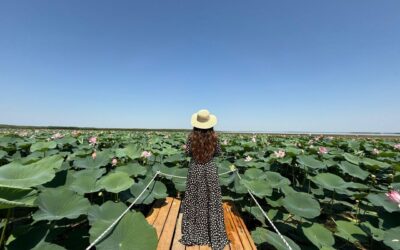 Lotus Fest 2025 : spectacle naturel et traditions kazakhes à Atyrau