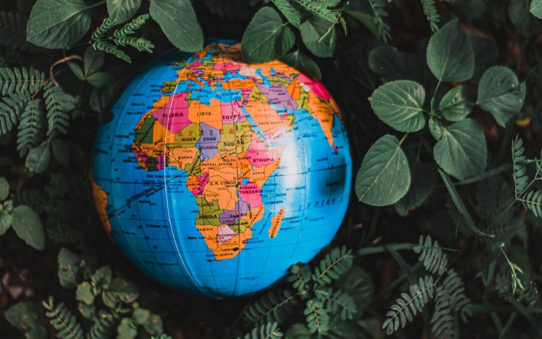 Ouzbékistan-Afrique : une diplomatie du Sud global qui s’affirme