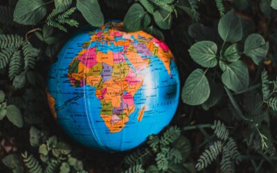 Ouzbékistan-Afrique : une diplomatie du Sud global qui s’affirme