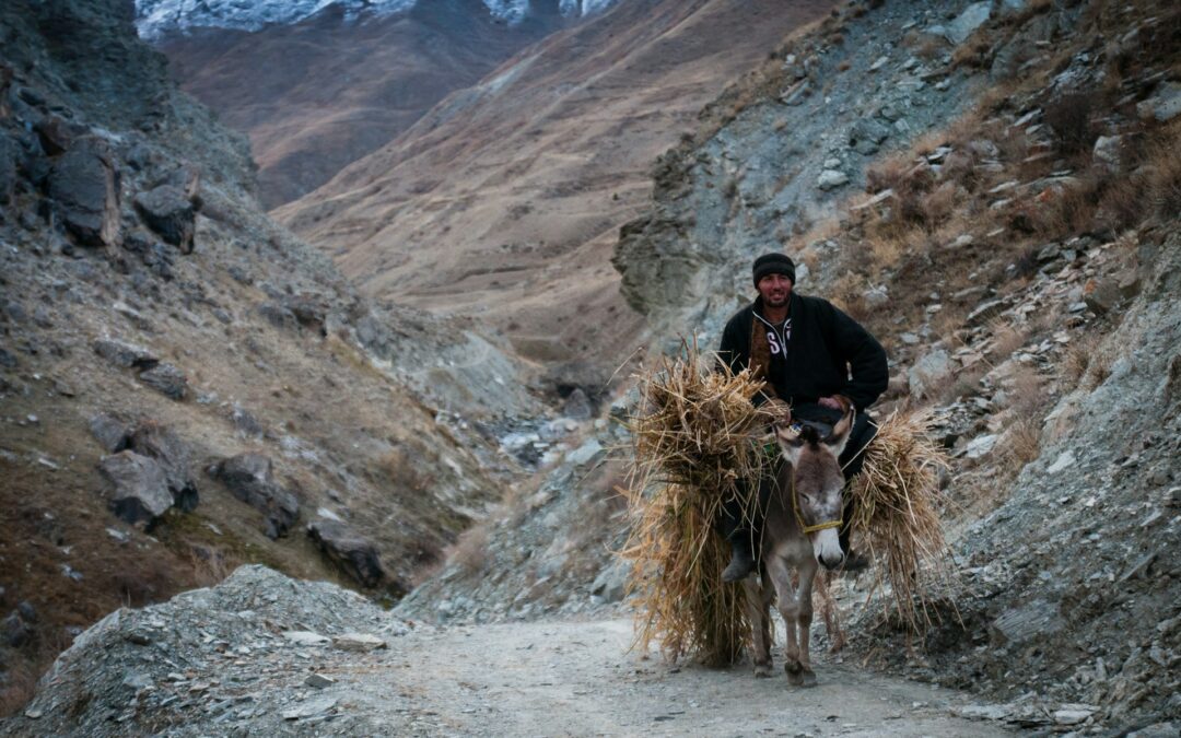 Croissance sans justice : la pauvreté ronge toujours le Tadjikistan