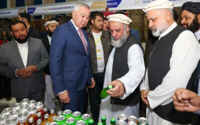 Le Kazakhstan mise sur les gisements afghans pour se fournir en métaux rares