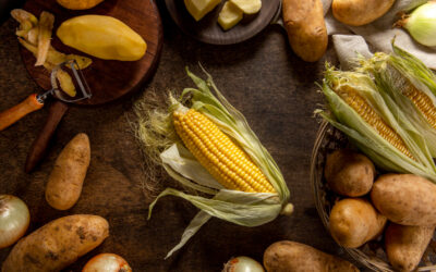 Le Kazakhstan mise sur le carburant durable pour transformer son aviation