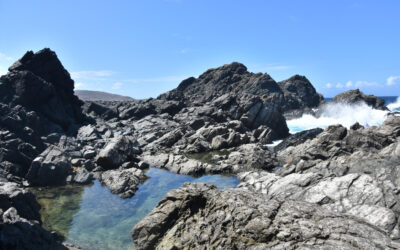 Asie centrale : vers un hub régional des métaux critiques