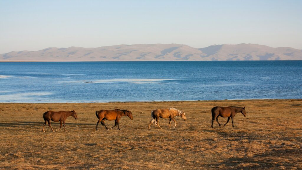 Le Kirghizstan mise sur les géoparcs pour faire de ses paysages un moteur du tourisme