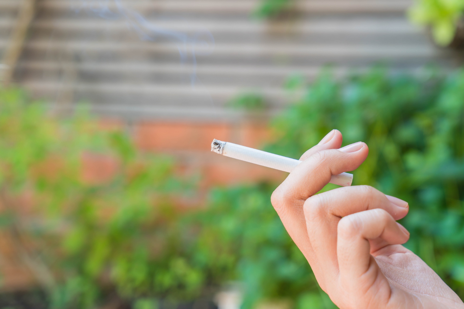 Cigarettes : le Kirghizstan relèvera progressivement le prix minimum jusqu'en 2029