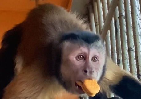 Le zoo d’Almaty échange des récoltes contre des entrées gratuites